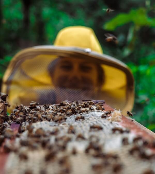 CARROSSEL FLORIN EXPERIENCE(2)